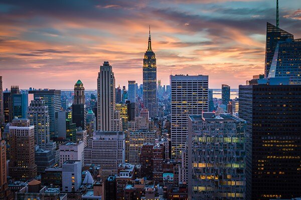 Medium & Large Enterprise